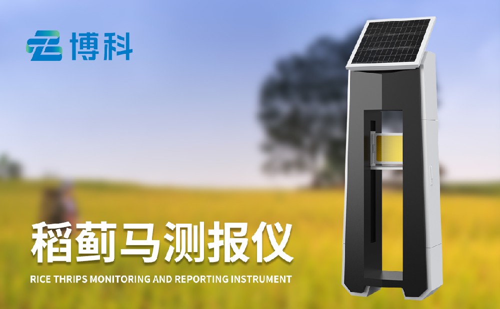 稻薊馬測報儀幫助用戶更好治理水稻薊馬病害