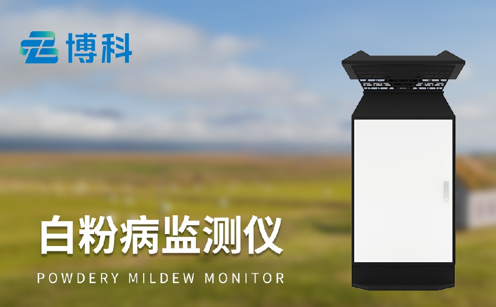 小麥白粉病監(jiān)測設(shè)備更加精準(zhǔn)防治小麥白粉病
